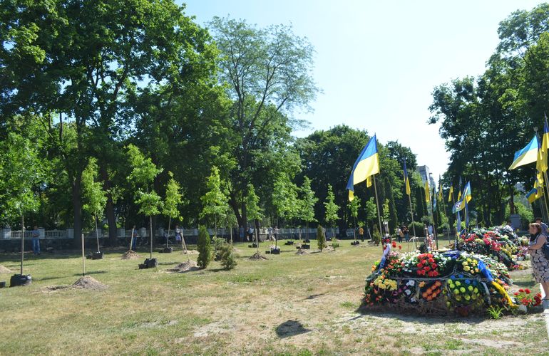 В Житомире высадят 27 дубов: каждое дерево будет символизировать одного из погибших воинов