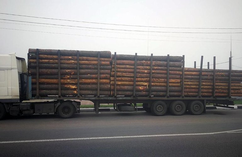В пригороде Житомира остановили грузовик с древесиной без документов. ФОТО
