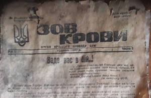 Пролежали у землі понад 70 років: на Житомирщині знайшли гільзу з листівками та газетами УПА. ФОТО