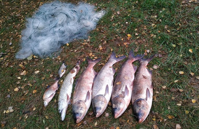 Грубые нарушения правил рыболовства: в Житомирской области за сутки задержали 8 браконьеров
