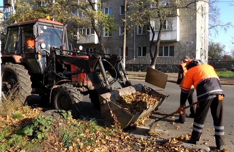 На улицах Житомира начали убирать опавшую листву. ФОТО