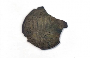 Знайдені на Житомирщині тисячолітні монети відправили до Національного музею історії