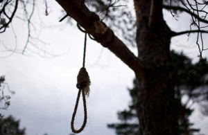 У Житомирі 21-річний хлопець повісився на дереві: фото 18+