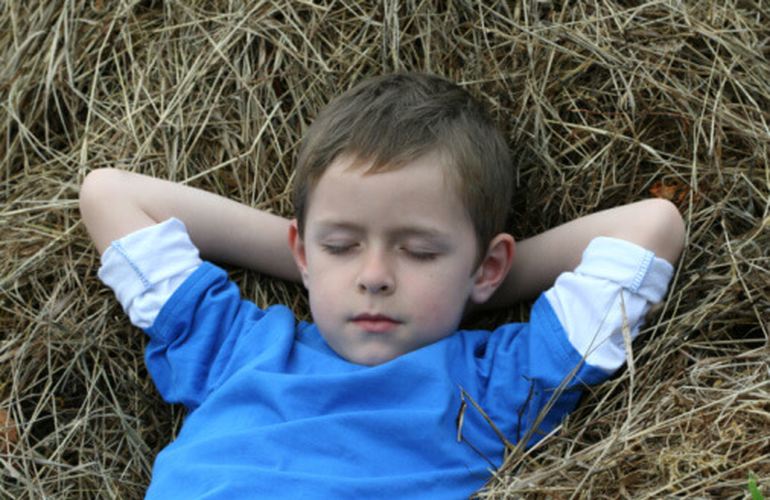 На Житомирщине родные и полиция искали пропавшего мальчика, а он спал на сеновале