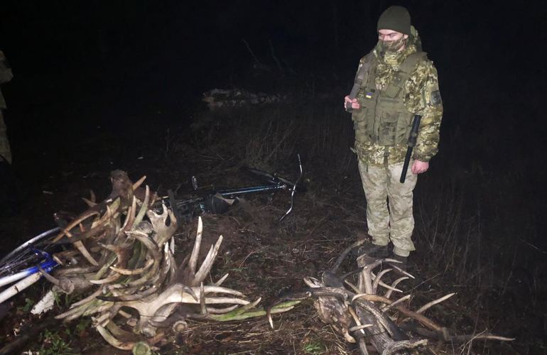 Житомирские пограничники в зоне отчуждения задержали мужчин с «рогатым» грузом. ФОТО