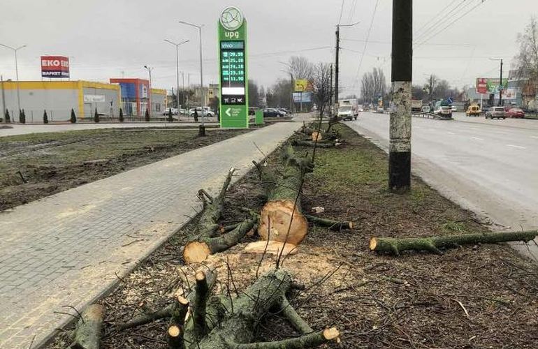 В Житомире возле скандальной заправки UPG самовольно срезали деревья. ФОТО