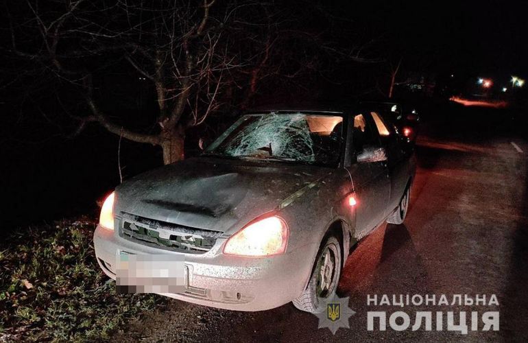 Шел по дороге в темноте: в Житомирской области легковушка насмерть сбила мужчину