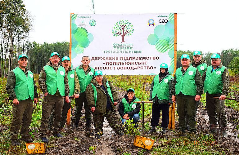 Зеленый рекорд: в Житомирской области высадили наибольшее количество деревьев