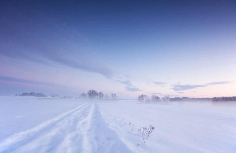 В Житомирской области 17-летний парень насмерть замерз посреди поля