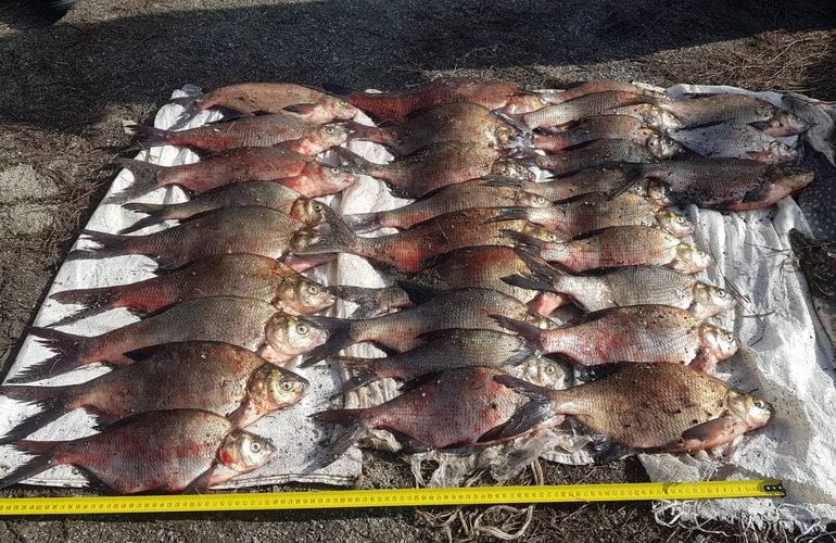 В Житомирской области задержали браконьера с крупным уловом рыбы. ФОТО