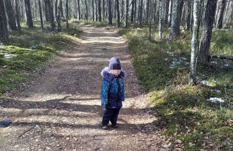 2-летний мальчик отправился в путешествие по лесу: к счастью, его быстро нашли. ФОТО