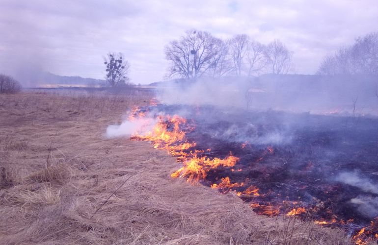 Жителей Житомирской громады призывают не сжигать сухую траву: штраф от 3060 грн