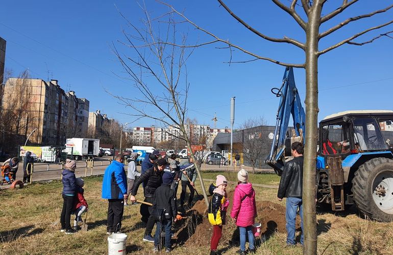 В Житомире и области прошли масштабные акции по высадке деревьев. ФОТО