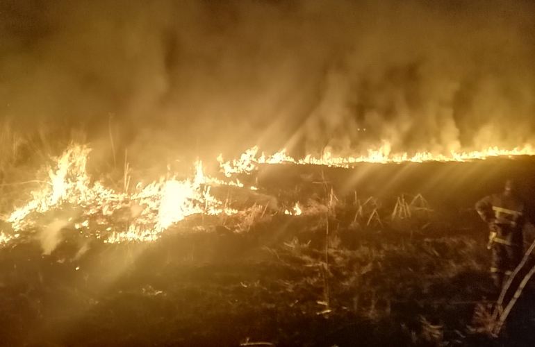 На окраине Житомира неизвестные подожгли сухую траву: спасатели ликвидировали пожар